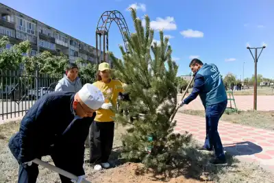 Курчатов: акция по высадке деревьев с молодежью {city2}