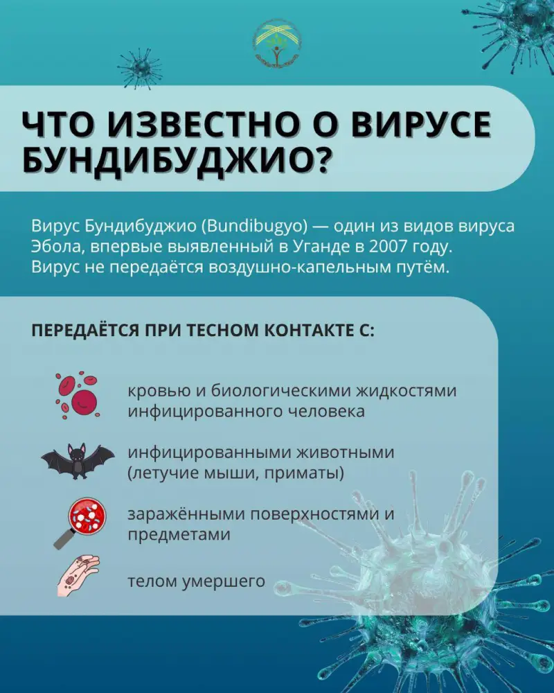 Эбола: как не стать жертвой вируса в поездке? {city2}