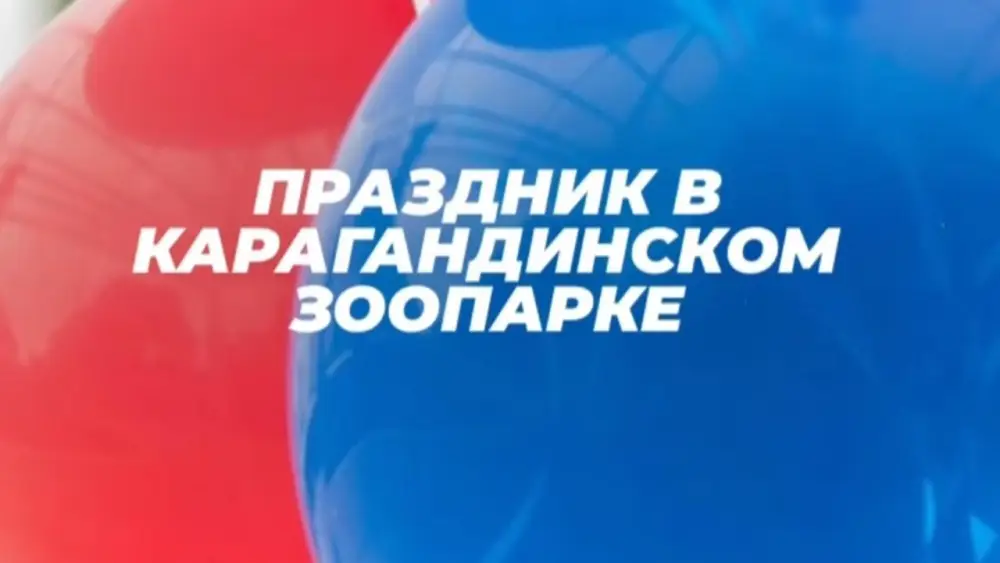 В Караганды 1 июня пройдет праздник для детей с пенным шоу и фокусами в зоопарке {city2}