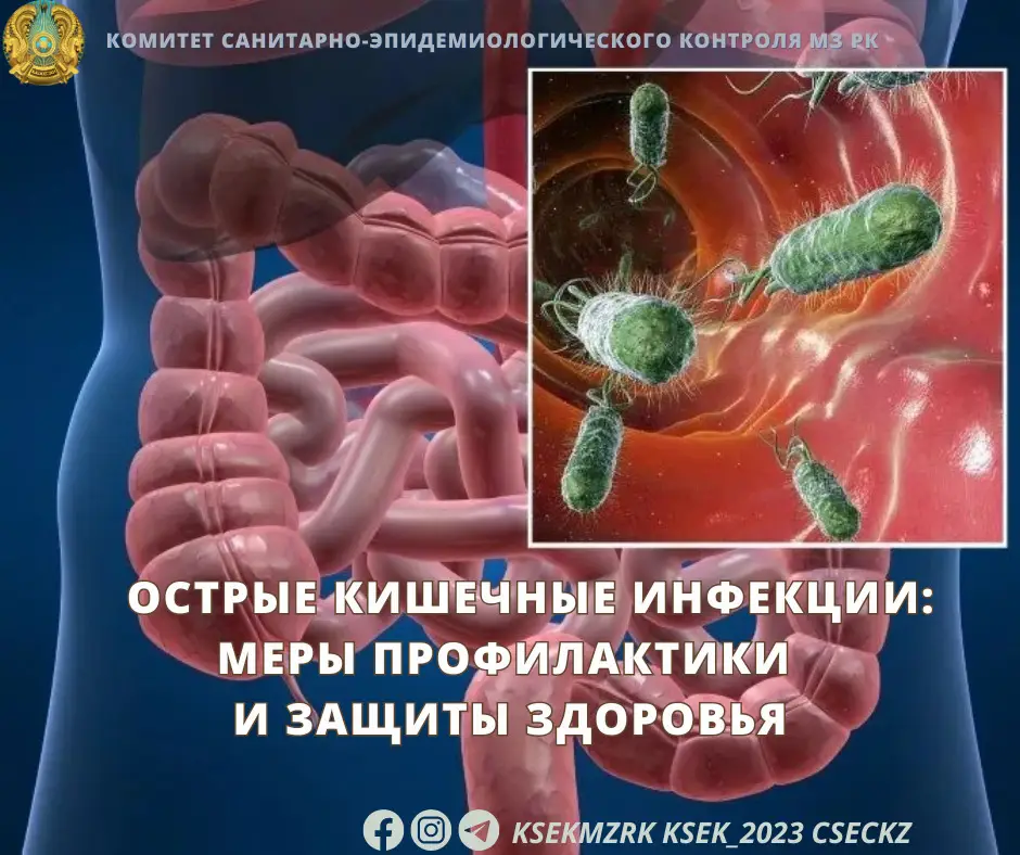 Профилактика острых кишечных инфекций и защита здоровья {city2}