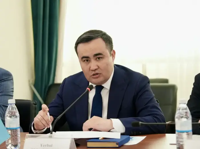 Обсуждение прав человека в условиях цифровизации: Ербол Туякбаев и спецдокладчик ООН Сурья Дева в Астане {city2}