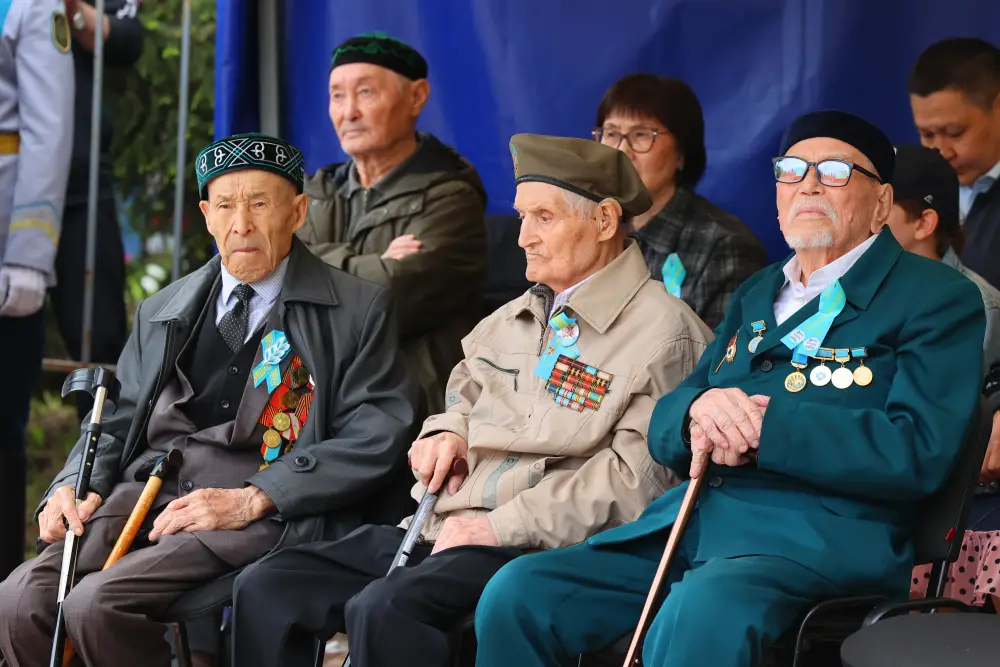 День Победы (8)