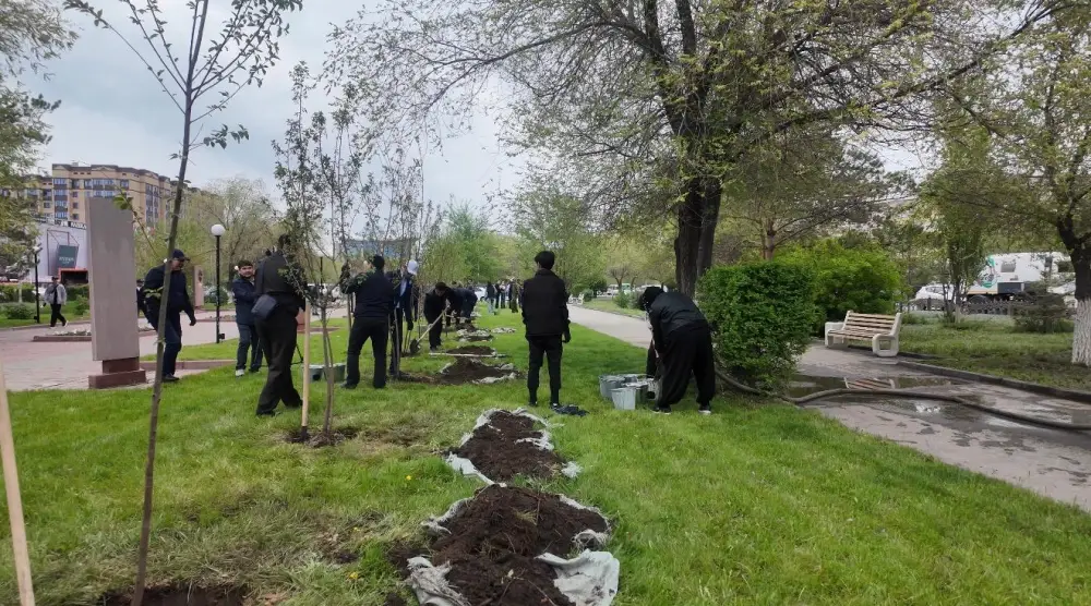 4000 деревьев высажены в Актюбинской области к Дню Победы {city2}