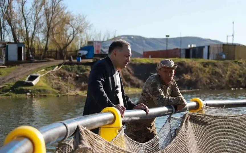 Алтайская форель: жемчужина Восточного Казахстана в водах агробизнеса {city2}