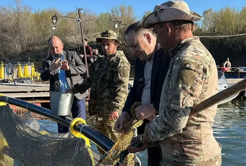Алтайская форель становится новым брендом ВКО (4)