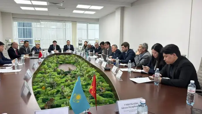 «Один пояс — один путь»: Казахстан и Китай усиливают фитосанитарную безопасность на границе (3)