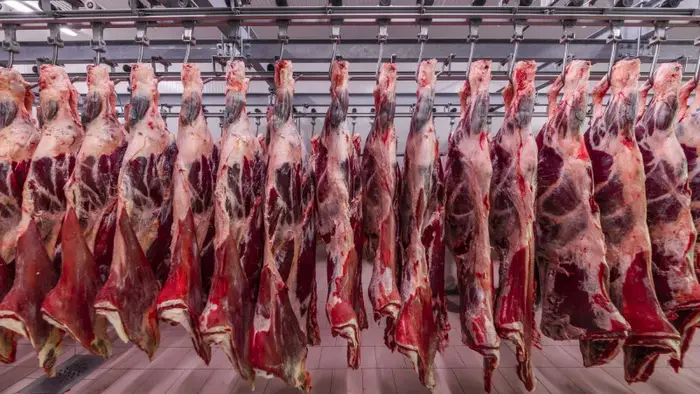 Экспорт халяльного мяса из Казахстана в Турцию: активизация партнёрства в агропромышленном комплексе и сельскохозяйственной сфере {city2}
