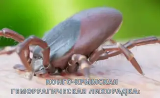 Конго-Крымская геморрагическая лихорадка: факты и меры защиты на месте