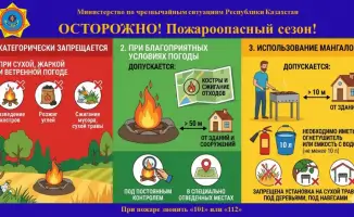 Пожарная безопасность на природе: последствия неосторожного обращения с огнем