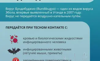 Эбола: как не стать жертвой вируса в поездке?