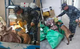 Успехи рейдов с участием служебных собак в борьбе с наркопреступностью в области Абай: влияние на общественную безопасность