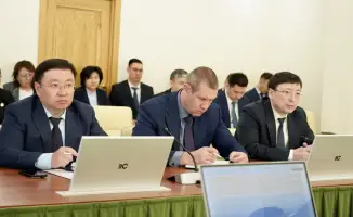 Цифровая трансформация социальных услуг: международный опыт автоматизации мер поддержки граждан