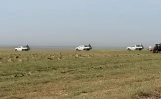 Химобработка 275 тысяч гектаров в Туркестане