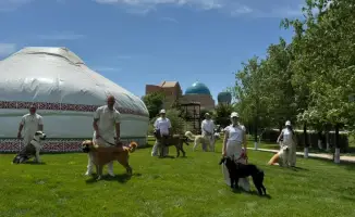 Выставка породистых собак в Туркестане