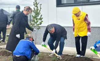 Eco Initiative in Kazakhstan: Capital's Pensioners Plant Trees for a Greener Future