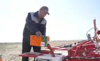Посадка сахарной свеклы в Жетісу завершена на 13 тыс га