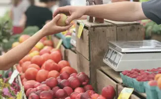Ужесточение контроля цен на продовольствие в Казахстане: последствия для рынка и потребителей