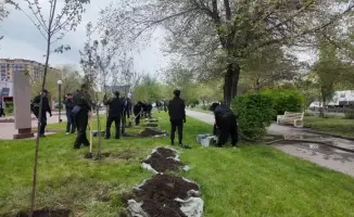 4000 деревьев высажены в Актюбинской области к Дню Победы