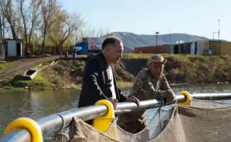Алтайская форель: жемчужина Восточного Казахстана в водах агробизнеса