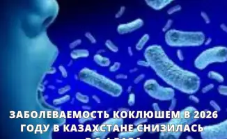 Снижение заболеваемости коклюшем в Казахстане в 2026 году: успешные результаты вакцинации