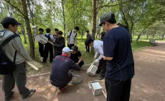 Скворечники для птиц в парке «Жетысу»