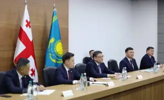Министры внутренних дел Казахстана и Грузии обсуждают совместные меры против преступности и киберугроз