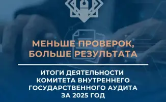 Аудиторы Алматы: меньше проверок, больше результатов