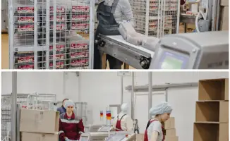 Делегация из СКО изучает возможности сотрудничества с предприятиями Челябинска