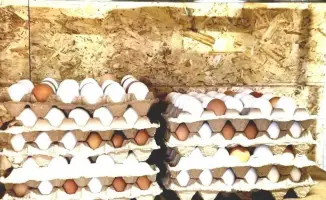 Кооператив AbiNar из ВКО переработка мяса птицы семейное хозяйство
