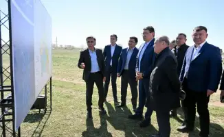 Абайская область принимает меры по защите фермеров от саранчи через системную борьбу с вредителем