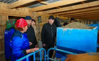 Молоко высшего качества из Казахстана: крестьянское хозяйство «Кайрат» поставляет сырьё для «Восток-Молоко»