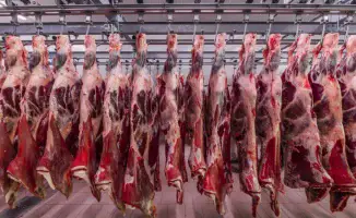 Экспорт халяльного мяса из Казахстана в Турцию: активизация партнёрства в агропромышленном комплексе и сельскохозяйственной сфере