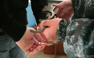 Арест мужчины в Астане за домогательства к девушке на пешеходном переходе