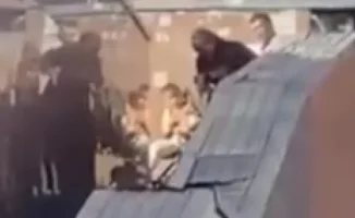 Астана: Мужчина жестоко избил жену на улице, возбуждено уголовное дело