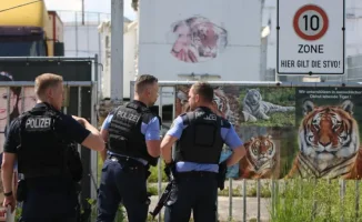 В Германии обсуждают безопасность зоопарков после нападения тигра на смотрителя