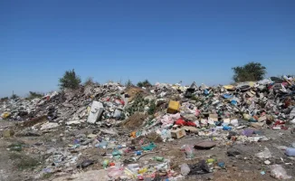 В Казахстане усиливают экологическую ответственность: новые меры по борьбе со стихийными свалками и защите окружающей среды